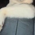 『話、聞こうか？』…