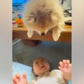赤ちゃんが『テーブ…