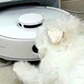 『お掃除ロボット』…