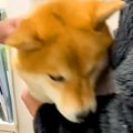 病院に注射を打ちに…