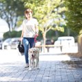 犬の『拾い食い』に…