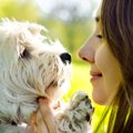 犬が愛情を感じてい…
