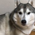 表情が一変！ナデナ…