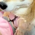 女の子のおままごと…