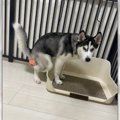 「あぁ、もう一歩前…