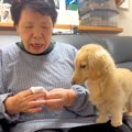 犬嫌いだった母が…飼…