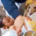 １歳の男の子と大型…