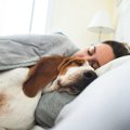 見たことある？犬が…