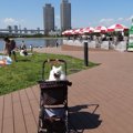愛犬とお台場を楽し…