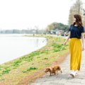 犬を危険にさらす『…