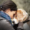 老犬介護の問題～1人…