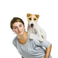 犬を『おんぶ』する…