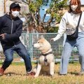 犬の前で『パパママ…