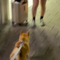 駅まで『夏休みで帰…