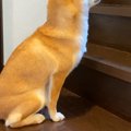 朝、なかなか起きて…