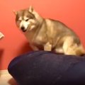 人をダメにするソフ…