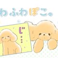 ふわふわぽこ。【第1…