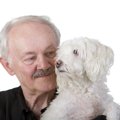 犬の年齢は見た目で…
