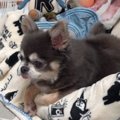 今日はどこで寝よう…