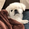 「遅かったですね…」…