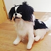 羊毛フェルトで愛犬…