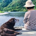 歳を取るにつれて増…