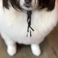 ハロウィンの時期に…