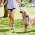 犬が『楽しい！』と…