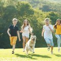 犬と飼い主の『絶対N…