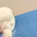 散歩嫌いな犬に『お…