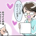 かわうそちわわ。（8…