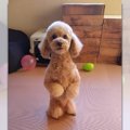 「中にヒト入ってま…