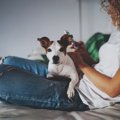 気をつけて！実は犬…