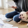 愛犬と暮らすための…
