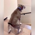 『大好きなおばあち…