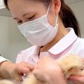 病院に注射を打ちに…