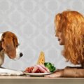 日常に潜む犬にとっ…