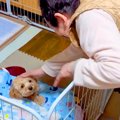 夫を亡くした『87歳…