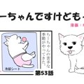 ちーちゃんですけど…