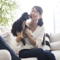 犬が『心から嬉しい…