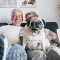 高齢者が子犬を飼う…