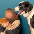 体重20キロの犬→小型…