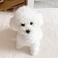 なんと天使！腹痛の…