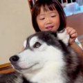 2歳の女の子が『生ま…