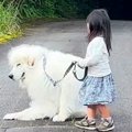 ２歳の女の子と超大…
