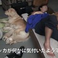 誰かいる！異変にい…