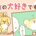 ただの犬好きです。…