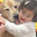 歯磨きを頑張る犬た…