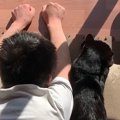 窓際で『猫の真似』…
