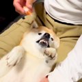 目薬を差そうとする…